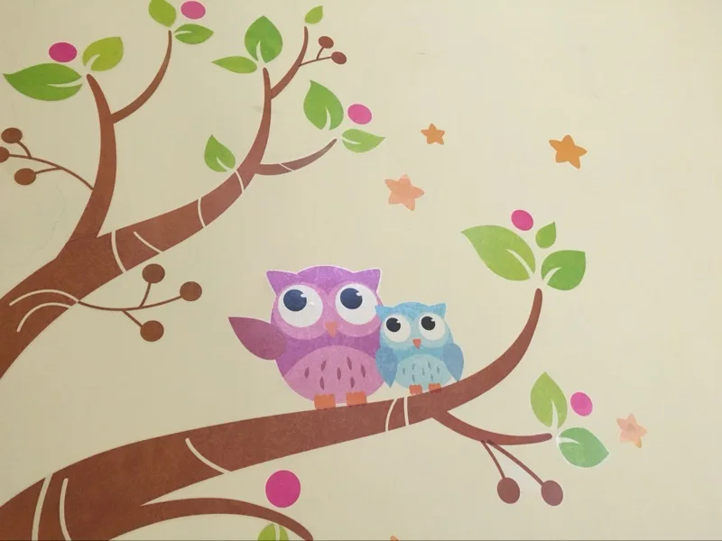 DIY pegatinas de pared decoración del hogar de la historieta Owl árbol marcos arte Decal extraíble murales pegatinas pared vinilos pared
