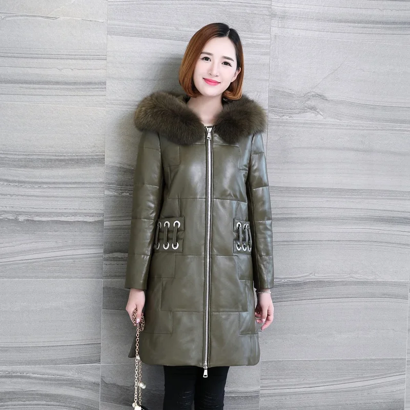 LF4255 (3)