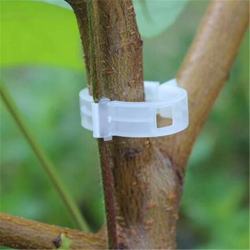 

50pcs-pack Quality Durable Plastic Sling Clips Fastener Plant Vines Tomato Vegetable Bush Tendril Binder Farming Clip jt012