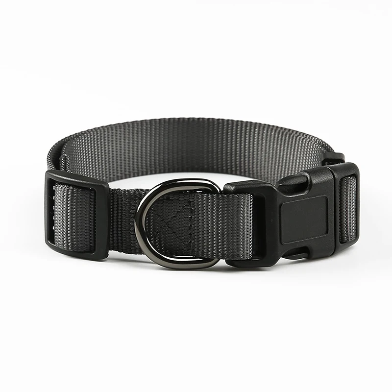 dog collar grey