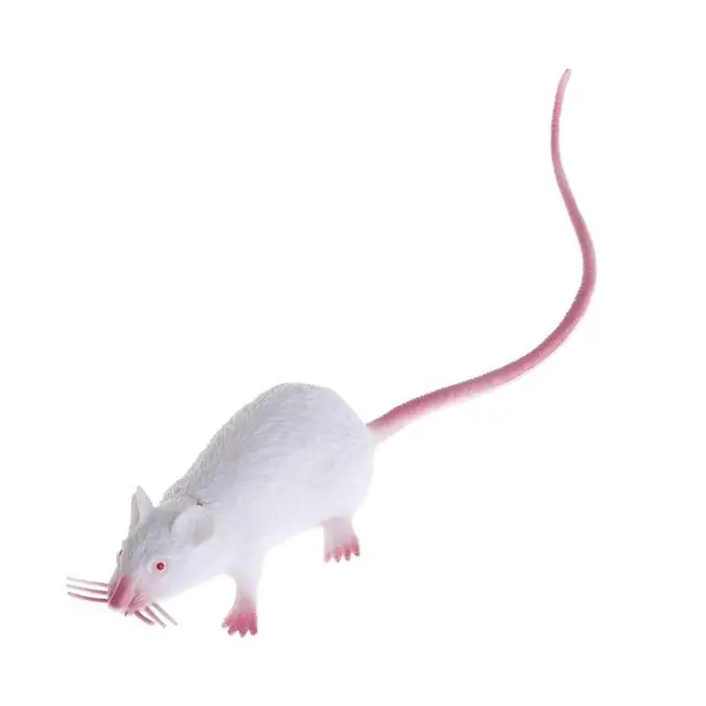 Buy LanLan Plastic Rats Mouse Model Trick Toys