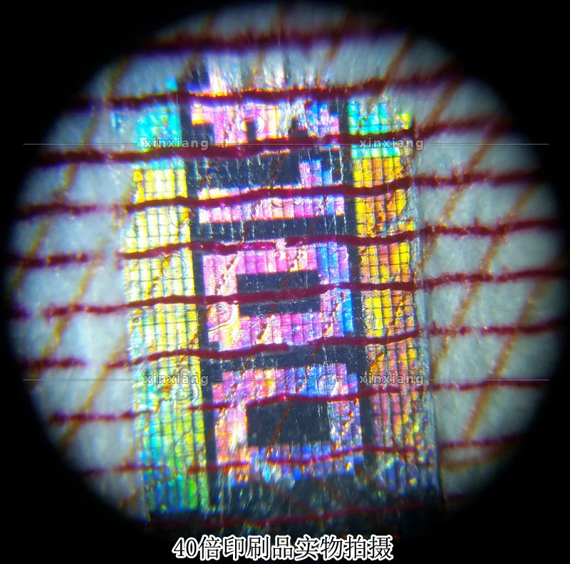 4877076759_1996311318
