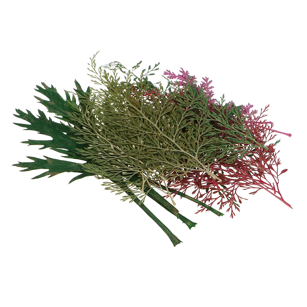 Pack Of Natural Dried Flower Real Flower Mixed For DIY Resin Ornament Craft Card Making Scrapbooking Embellishment Floral Design