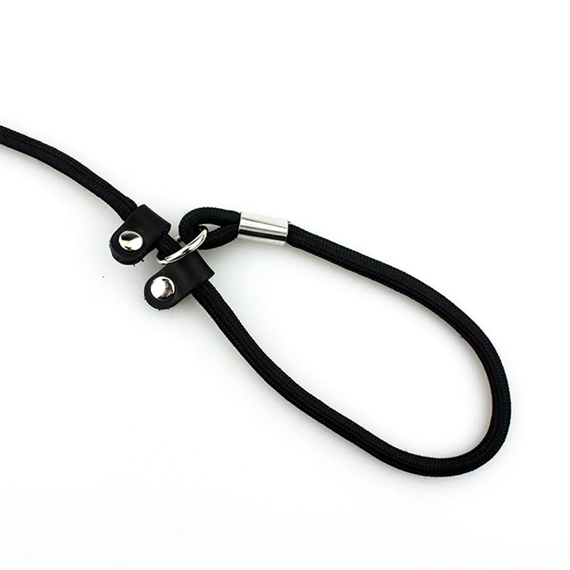 Dog Leashes Breakaway Durable 3 (3)