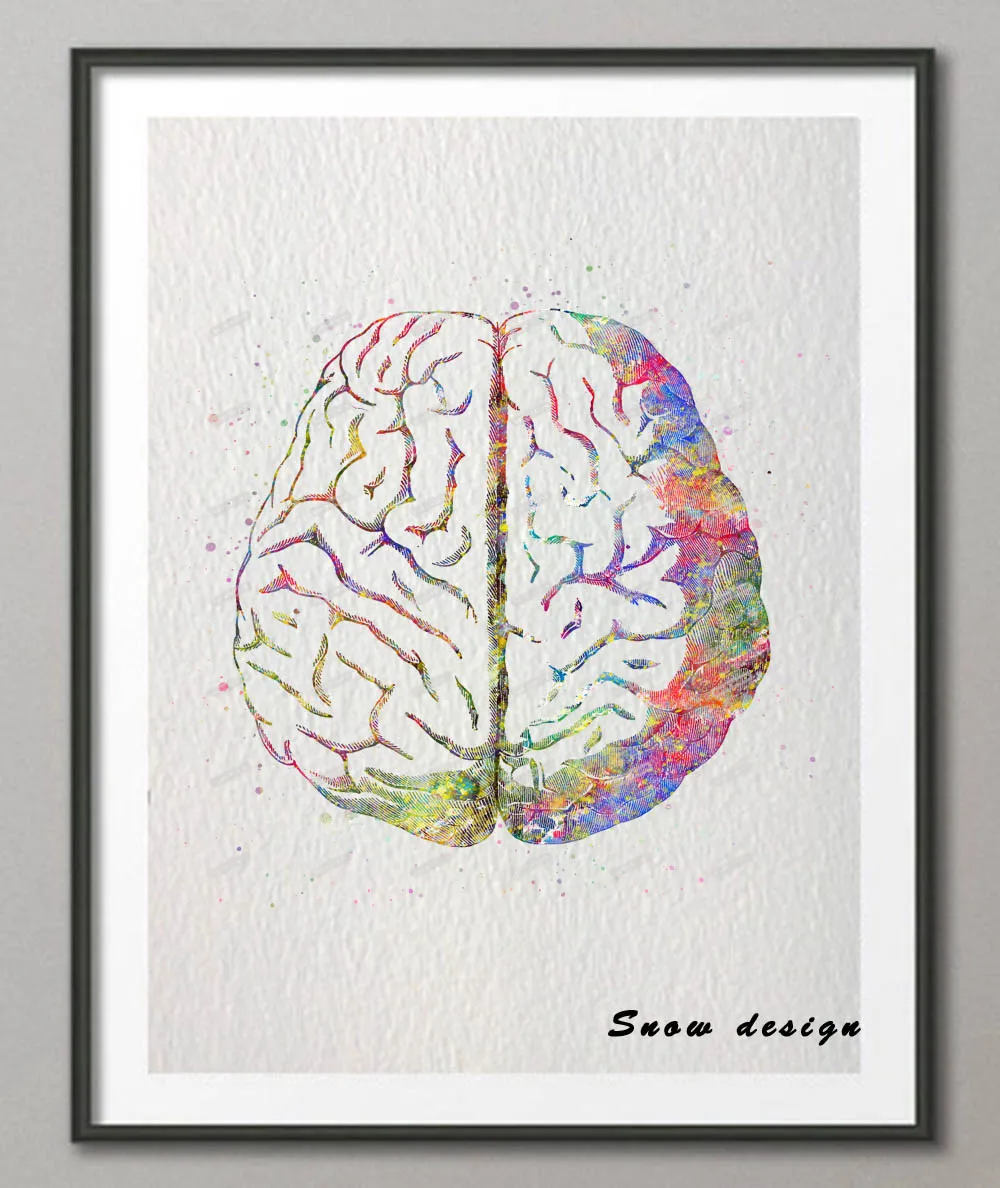 Original watercolor Human Brain canvas painting Anatomy wall art poster