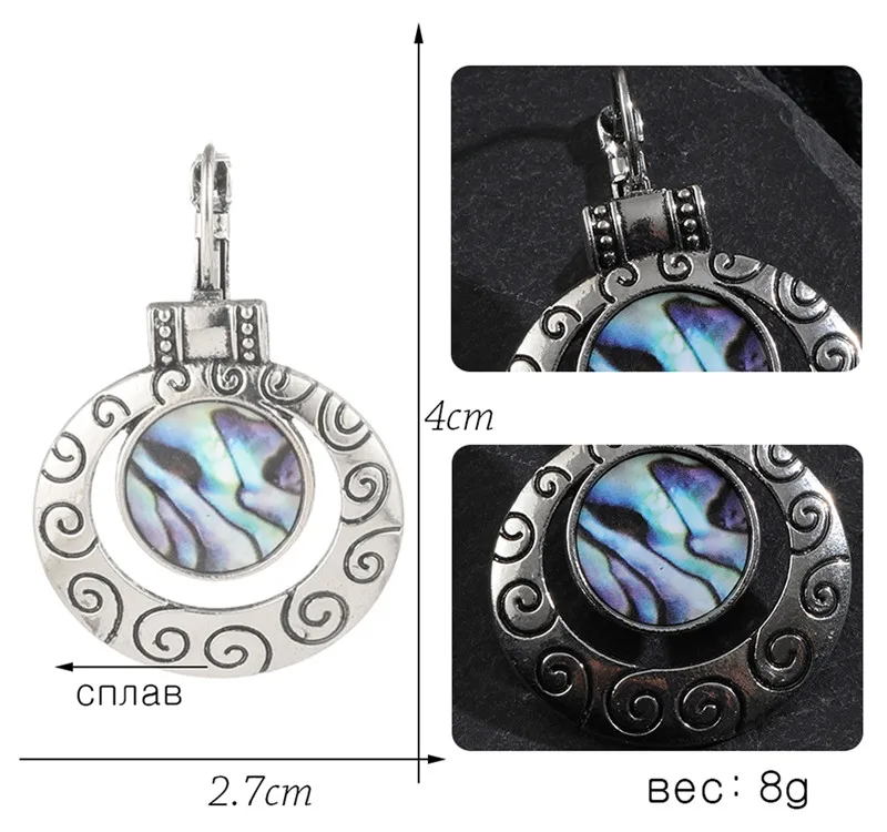 Новая морская раковина (4)