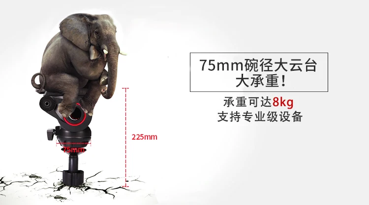 MYT803_03