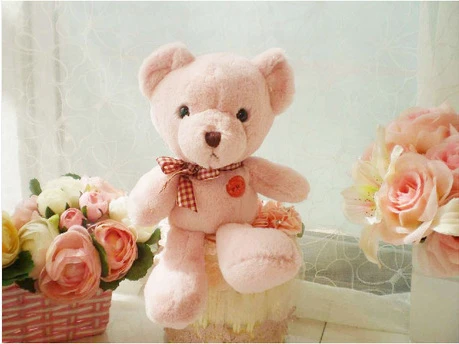 small pink teddy