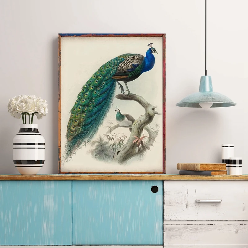 

Peacock Bird Vintage Style Print Poster Wall Art Parchment Paper Old Book Illustration Antique Canvas Painting Home Room Decor