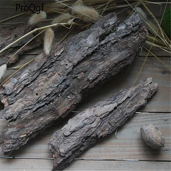 

Ngryise 2pcs a set Pinus skin Taxodiaceae