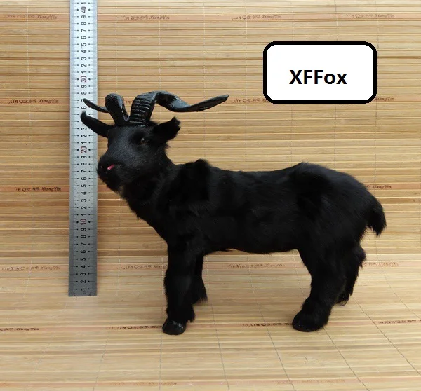 HTB1Rs.sPFXXXXaUapXXq6xXFXXXV