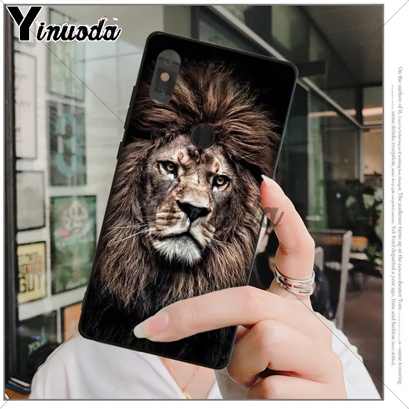 Animals The lion