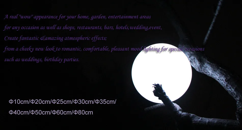 detailes banner1