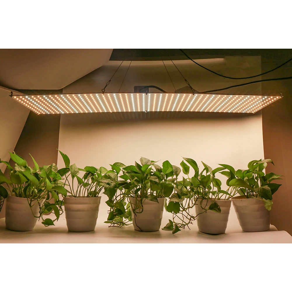 Новейший Диммируемый 500 Вт Светодиодный светильник для выращивания растений полный спектр фитолампа светодиодный для культива семена для проращивания в помещении vegs растущий тент теплица