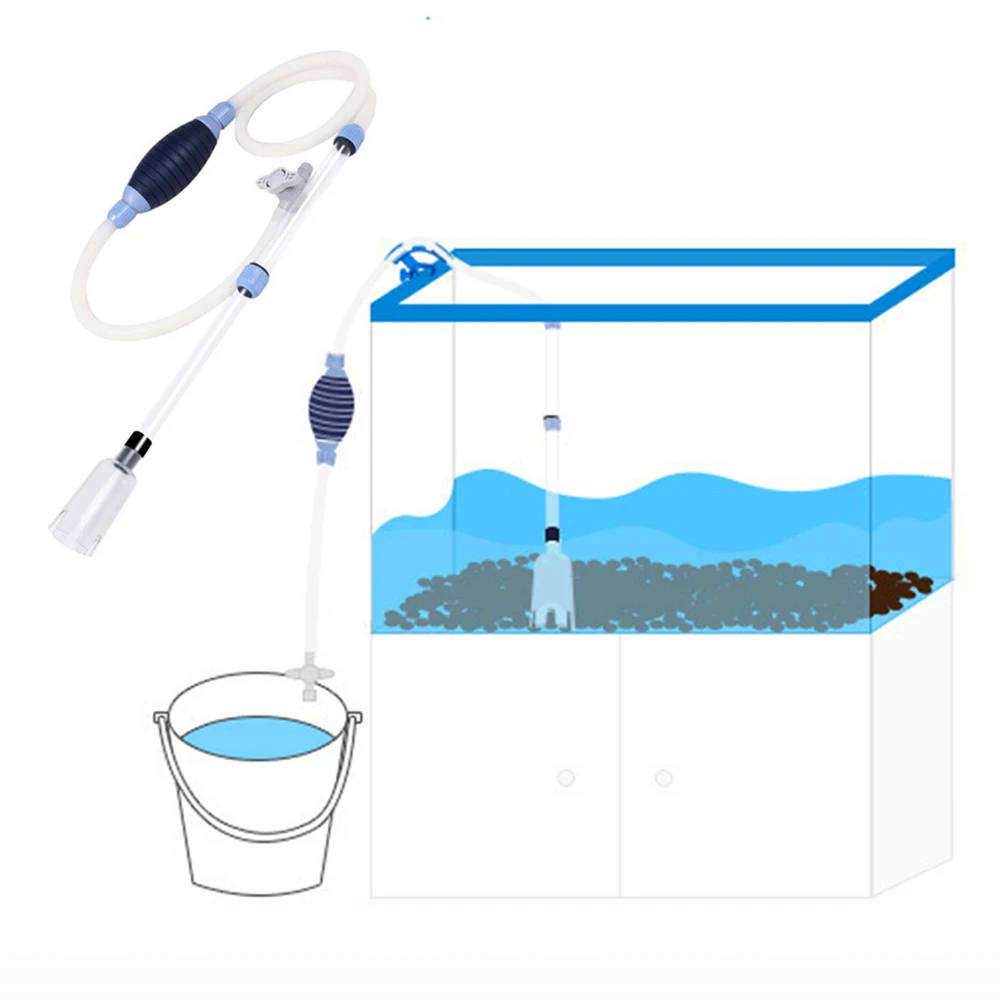 SY