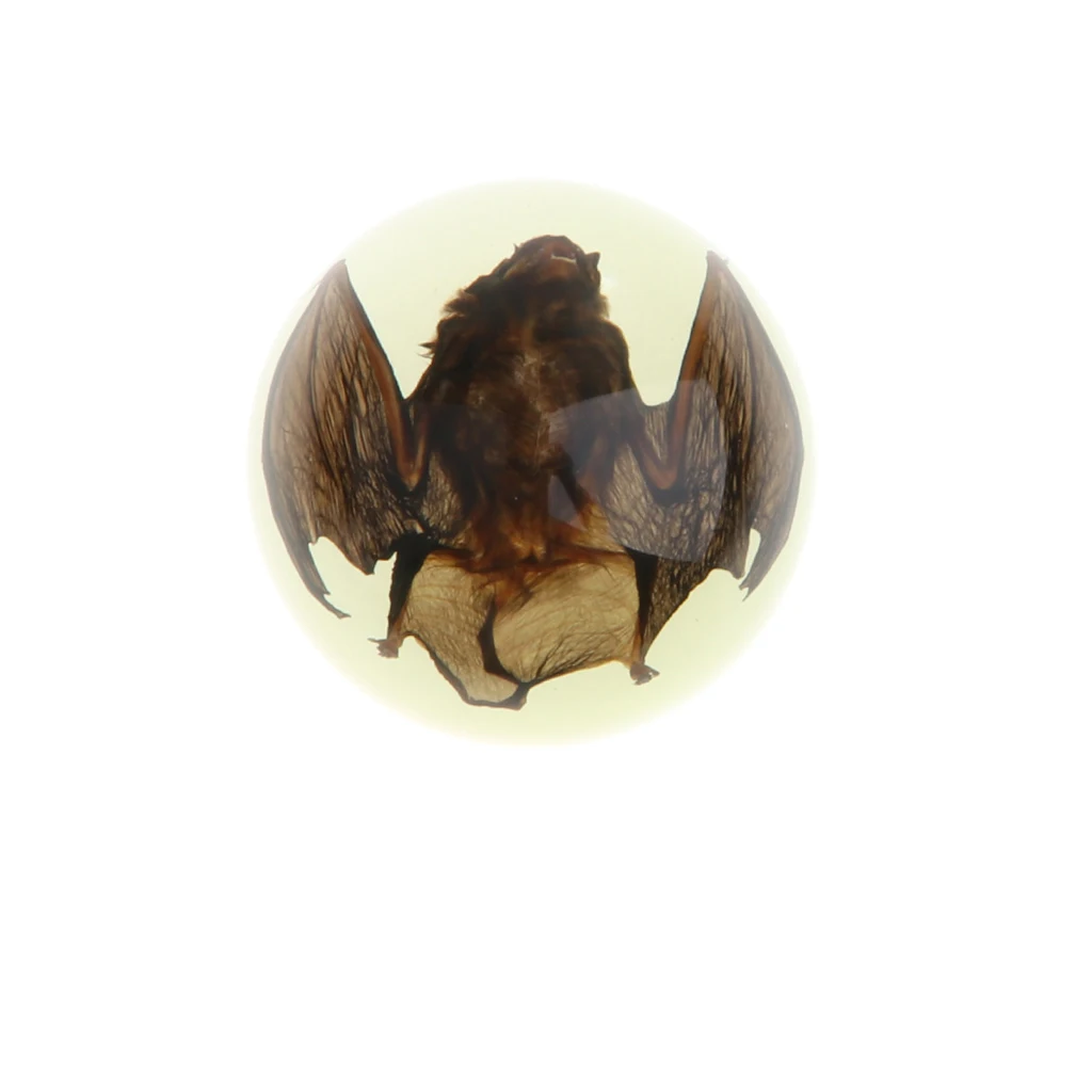 Летучая мышь в куполе смолы пресс-папье(светится в темноте), образование насекомых образец коллекция дисплей