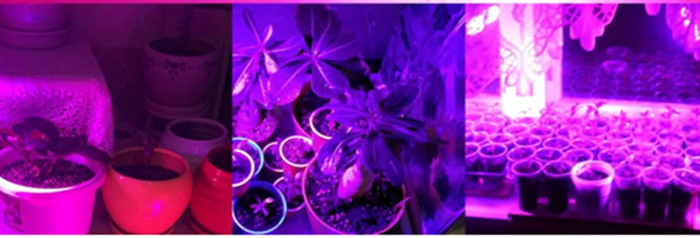 (_KWH_XR{A7{ZBR_24F]FEY_