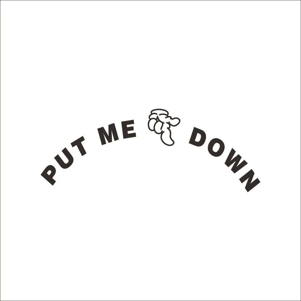 PUT ME DOWN Decal Bathroom Toilet Seat Sign Reminder Quote Word Lettering Art Vinyl Sticker