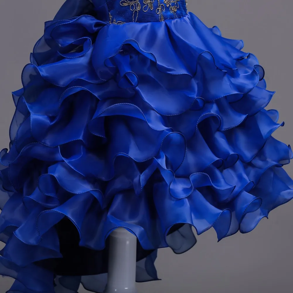 blue-detail-2