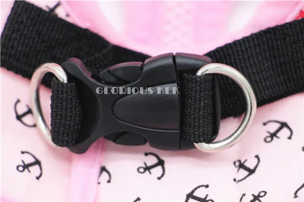 Dog Harness and Leash Set (11)