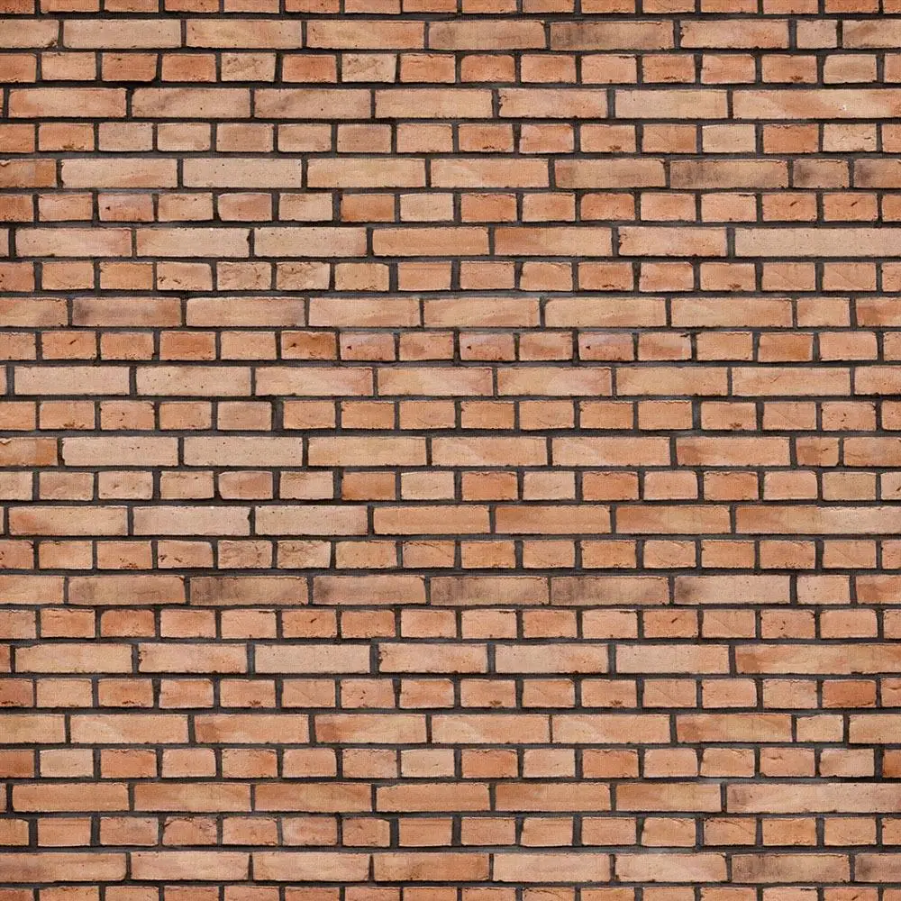 

10X10ft Vinyl Custom Wall Photography Backdrops Prop Photography Studio Background TWQ-10