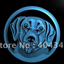 LB673-Лабрадор ретривер собака, домашнее животное, светодиодная неоновая вывеска