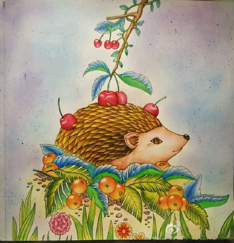 Эльфийский лес взрослая раскраска секретный сад раскраска книга стиль снять стресс убить время антистресс живопись раскраски книги