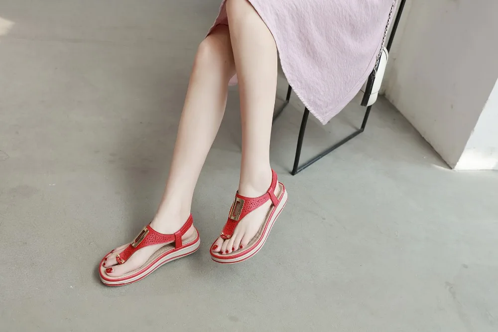 5DSR5996