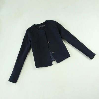 Женская коллекция осень-зима, новинка, синяя короткая куртка, высокая талия, юбка-карандаш, шерстяная юбка, костюм, офисная одежда, блейзер, Офисная форма - Цвет: JACKET