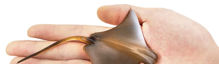 Моделирование маленький Дьявол рыба Manta Ray guitarfish фигура пластиковая модель животного сказочное Ремесло Украшение дома Декор подарок для детей