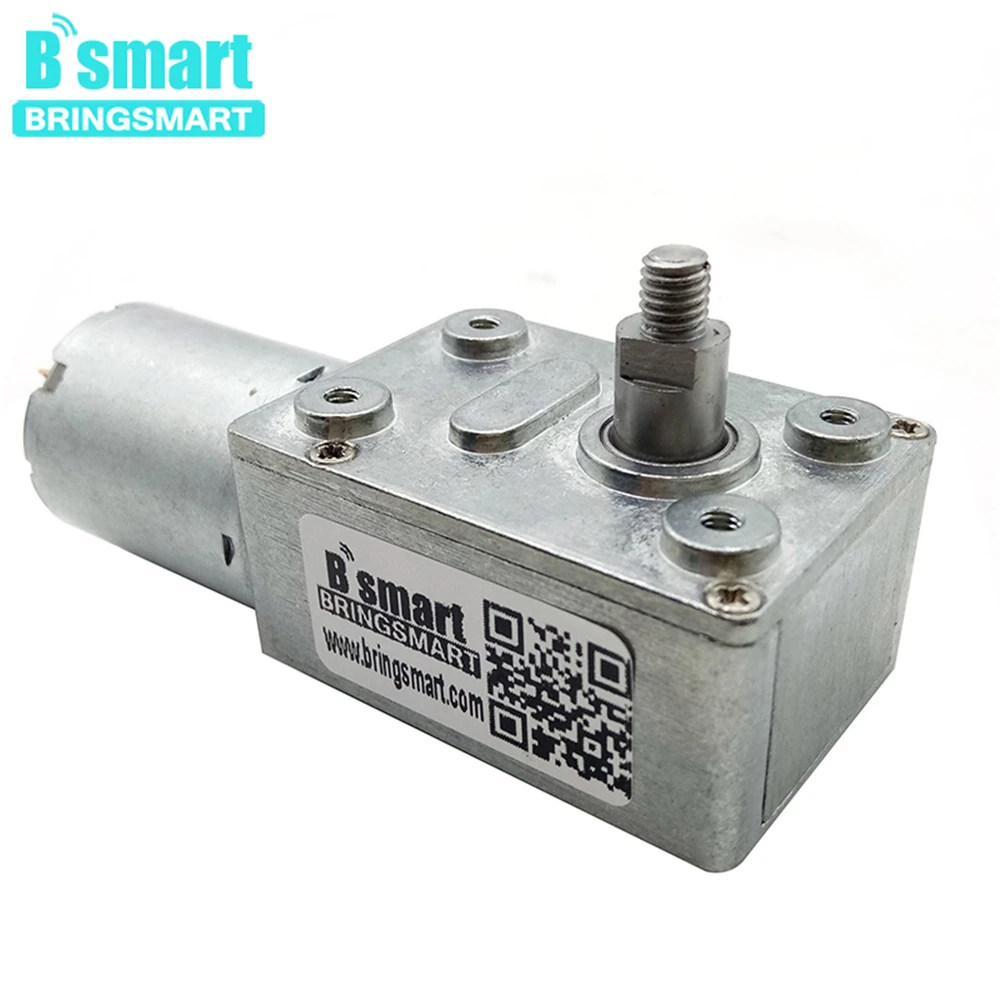 

Bringsmart 6-24V DC Worm Gear Motor M5 Screw Double Flat Drill Bit Micro Motor 8mm Output Shaft Self-locking Reverse Range Hood