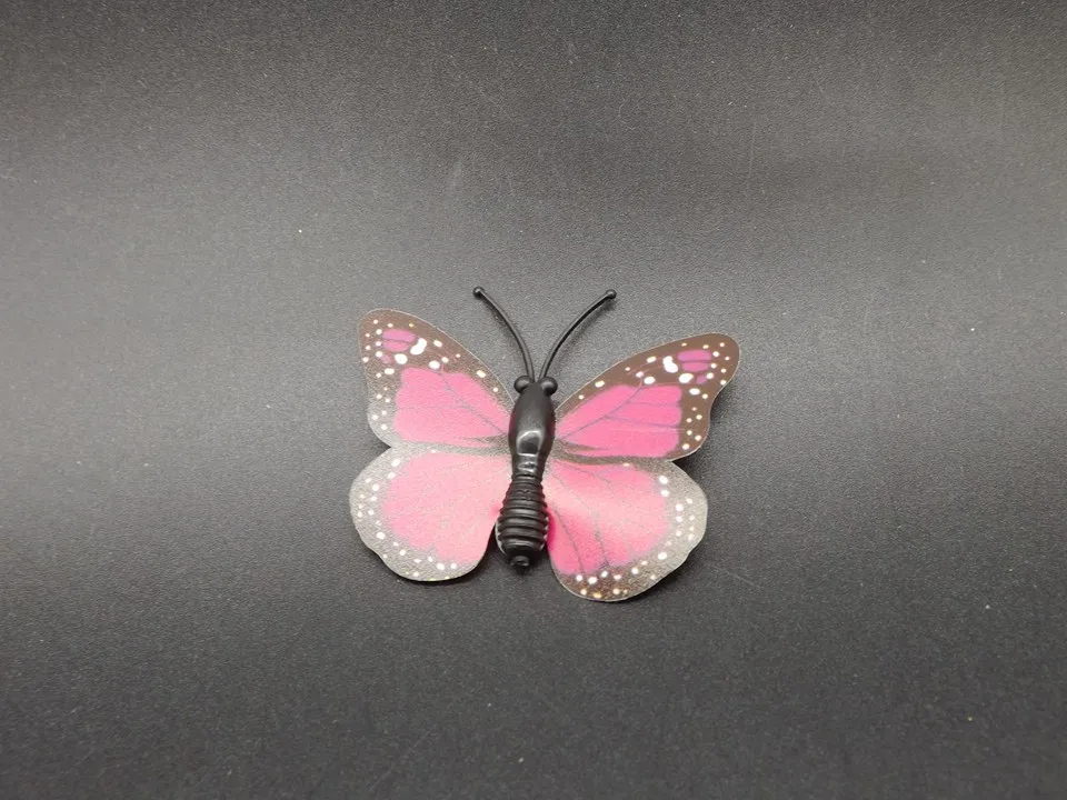 I249-Butterfly (6)