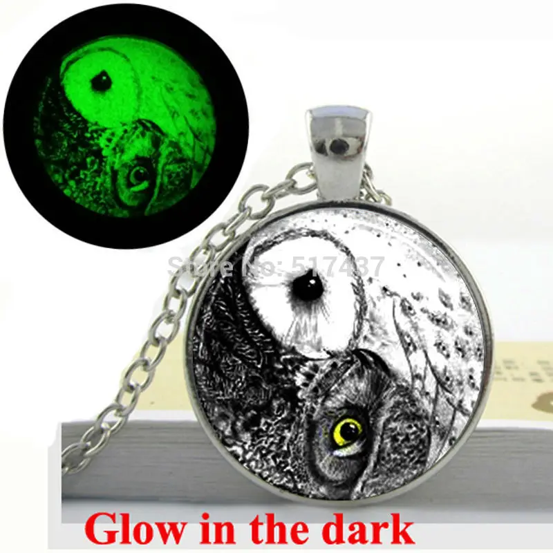 

Glow in the dark Necklace Pendants,Yin Yang Owl Necklace ,Bird Jewelry , silver owl necklace Glass Art Photo Glowing Jewelry