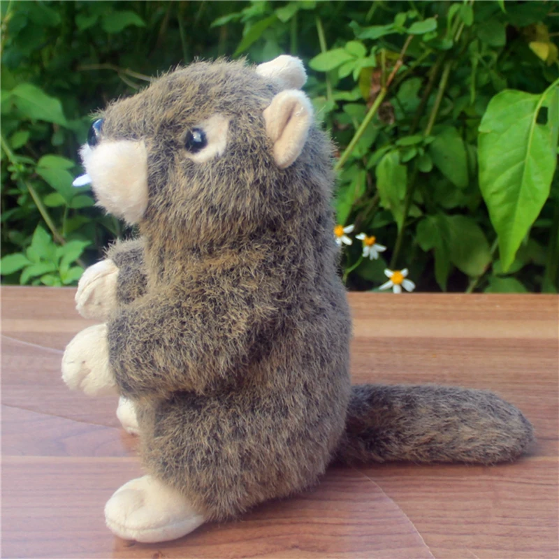 kawaii simulation animal groundhog plush doll mini soft quality groundhogs toy for baby gift 20cm DY50189 (9)