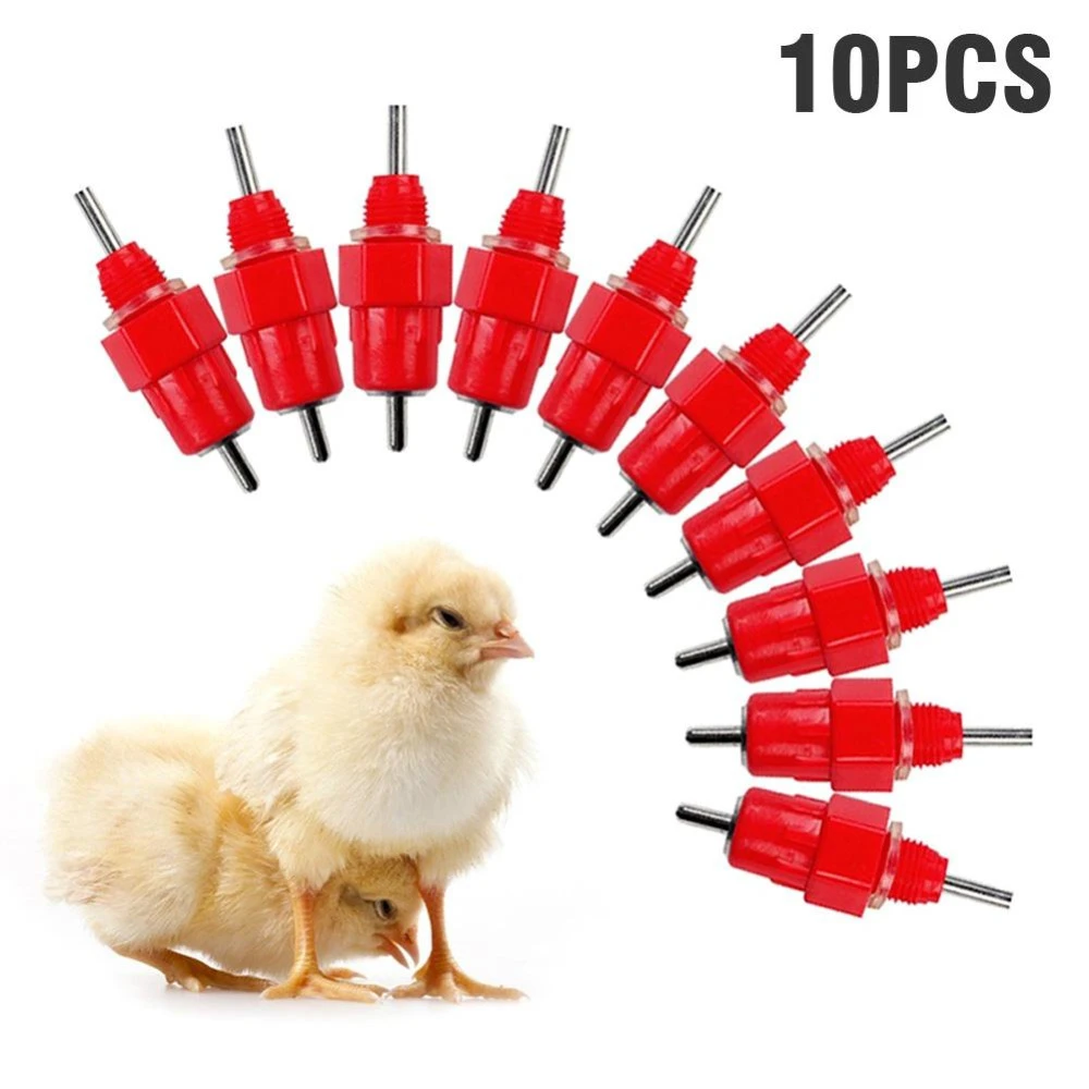 4 Pcs Automatic Cups Chicken Waterer Poultry Bird Auto Feed Water PVC New