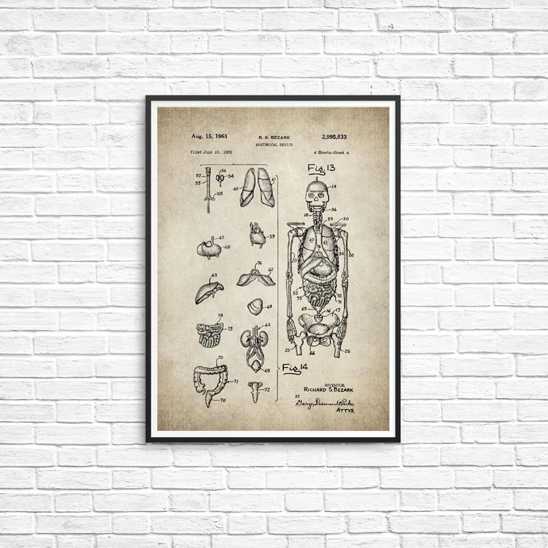 Skeleton Anatomy Art Prints