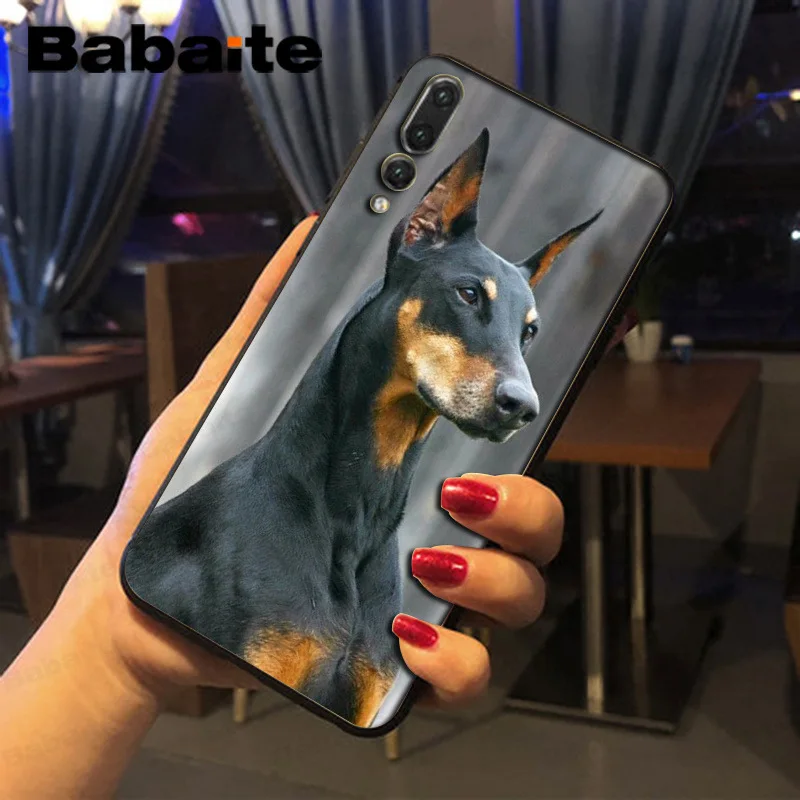 black Dachshund Doberman Dog face