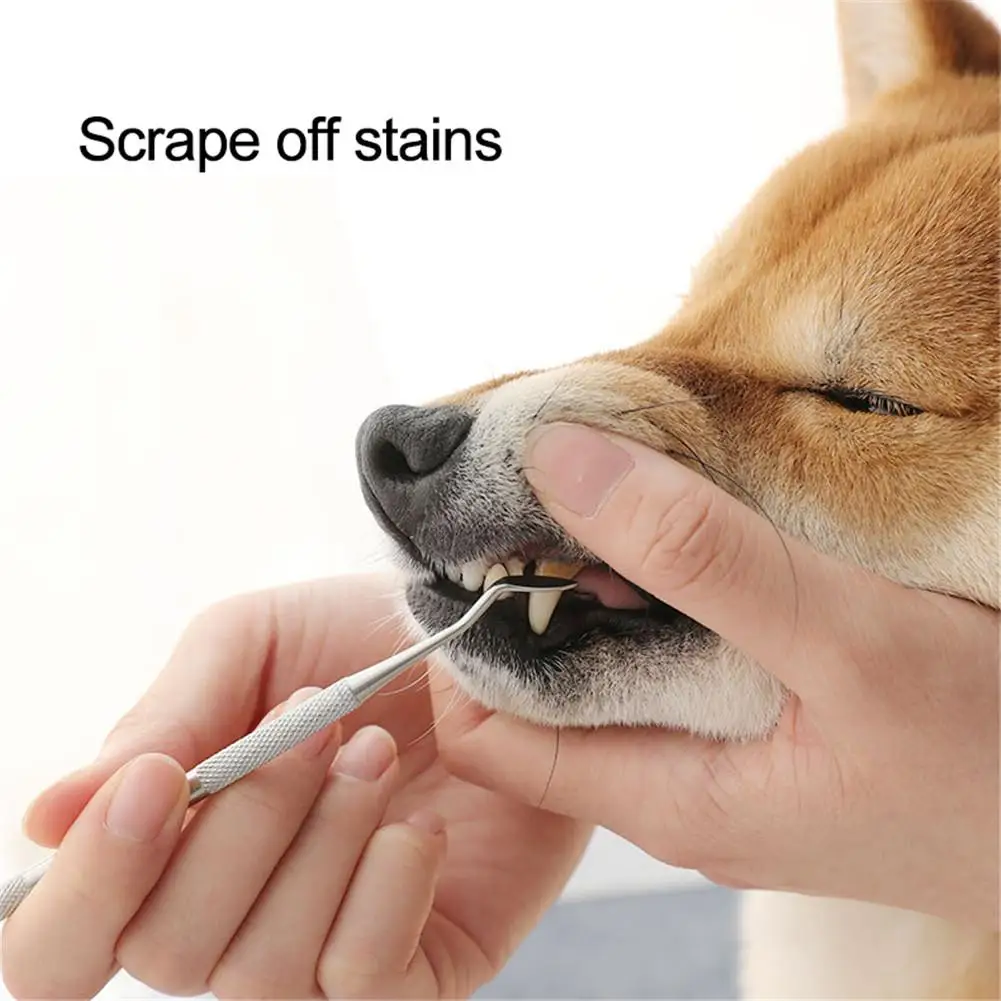 font b Pets b font Teeth Cleaning Tools Double Sided Dogs Cats Tartar Remover Dental