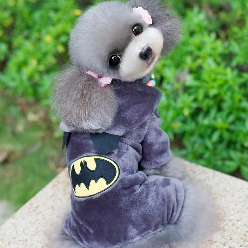 pet clothes for dogs