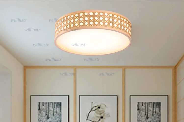 ceiling light (1)