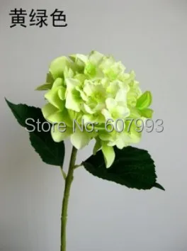 light green.jpg
