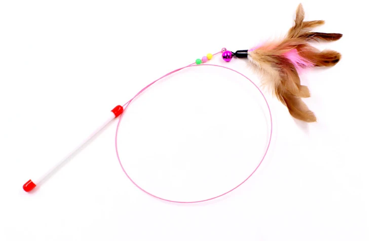 4560367983_1041227635