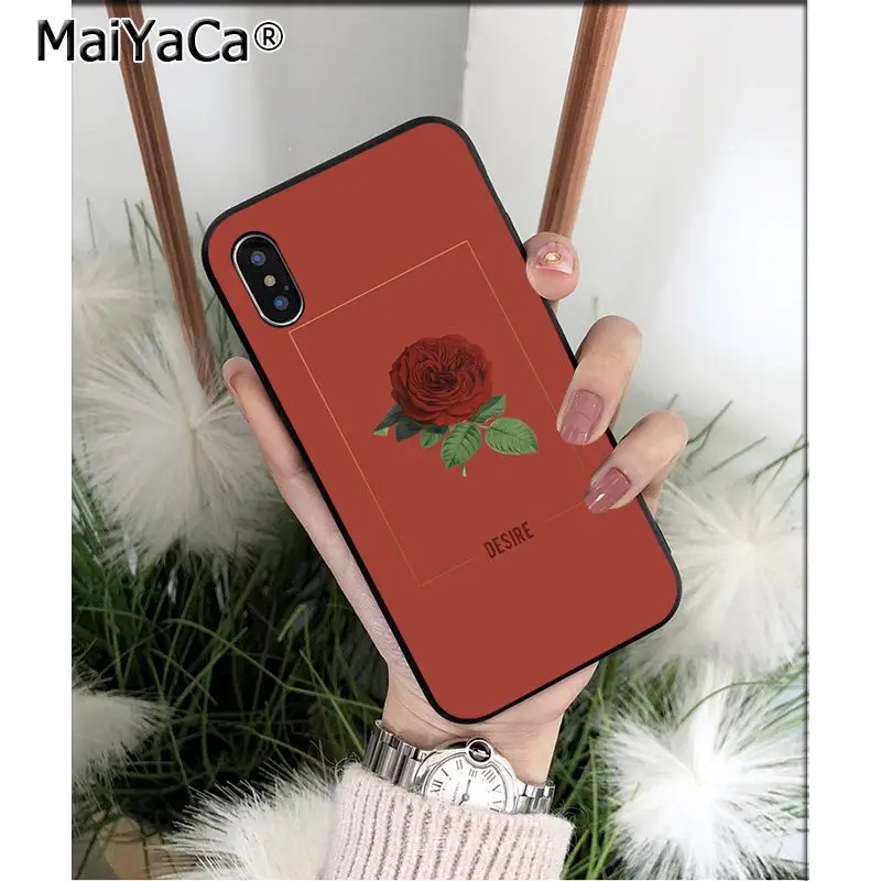 Art Aesthetic Romance Love Flower Rose Sunflower