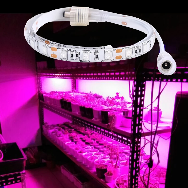 SMD 5050 LED Grow Light Strip 110V 220V Waterproof Grow Light Provide