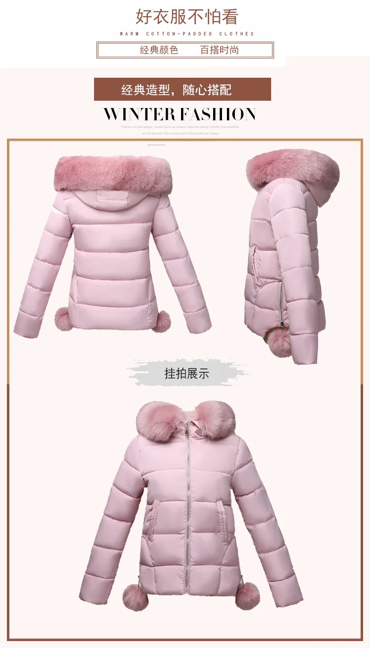 Cotton (8).jpg