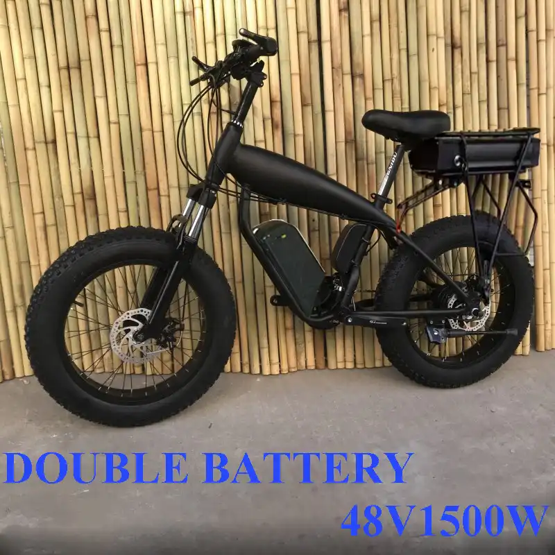 custom fat bike