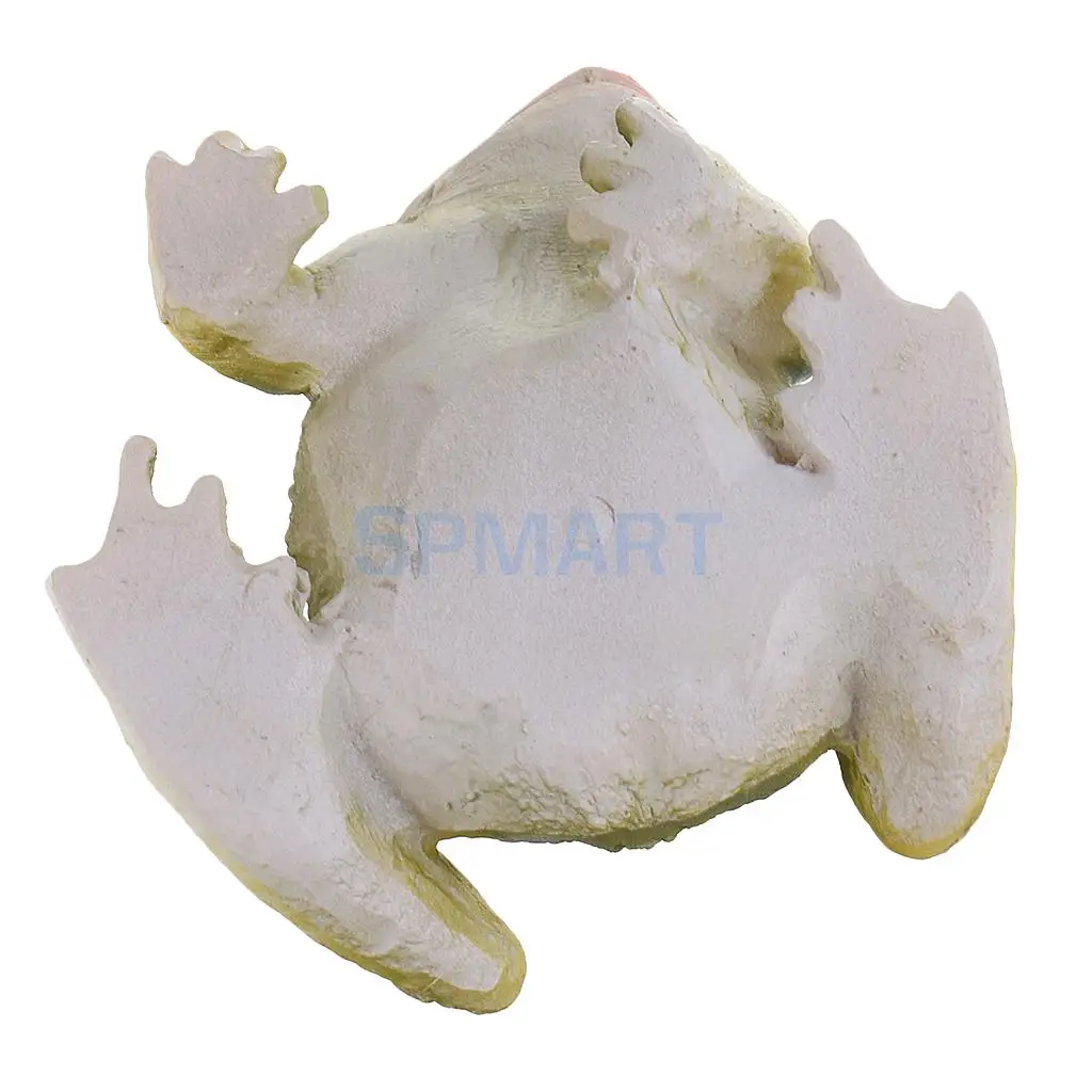 Mini Frog Resin Ornament for Home Garden Backyard Outdoor Decoration - Green
