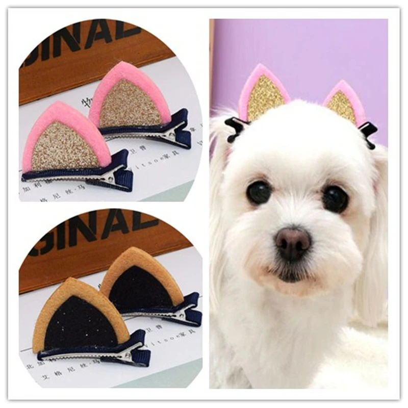 dog hair accessories