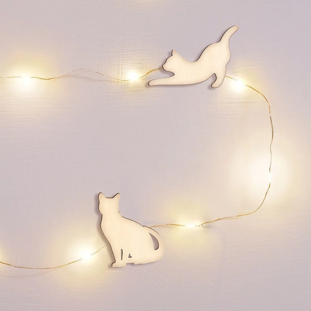 4965549954_1678365216