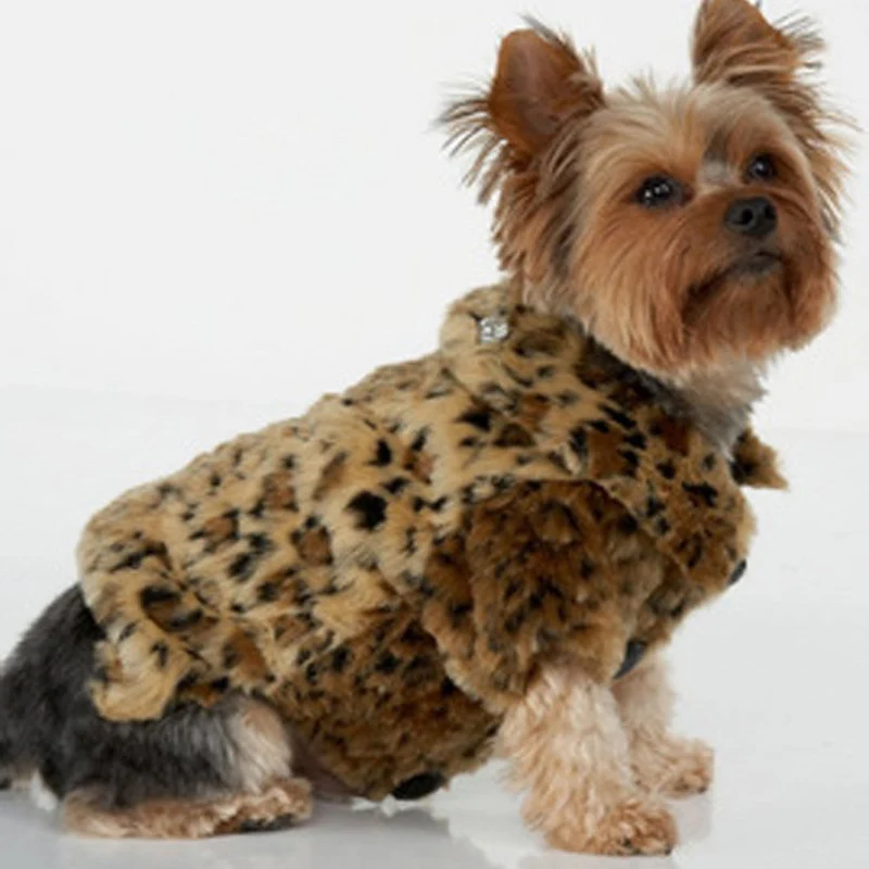 Dog Brand Name Clothes Dog Brand Name Clothes